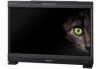 BVM-E250